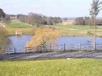 Dillington Estate, Somerset
